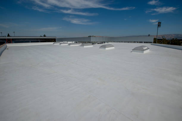Best Roof Maintenance and Cleaning  in West Frankfort, IL