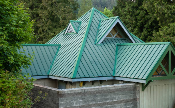 Best Roof Ventilation Installation  in West Frankfort, IL