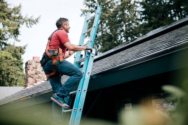 Best Roof Moss and Algae Removal  in West Frankfort, IL
